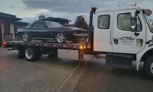 When to Use Professional Towing Services